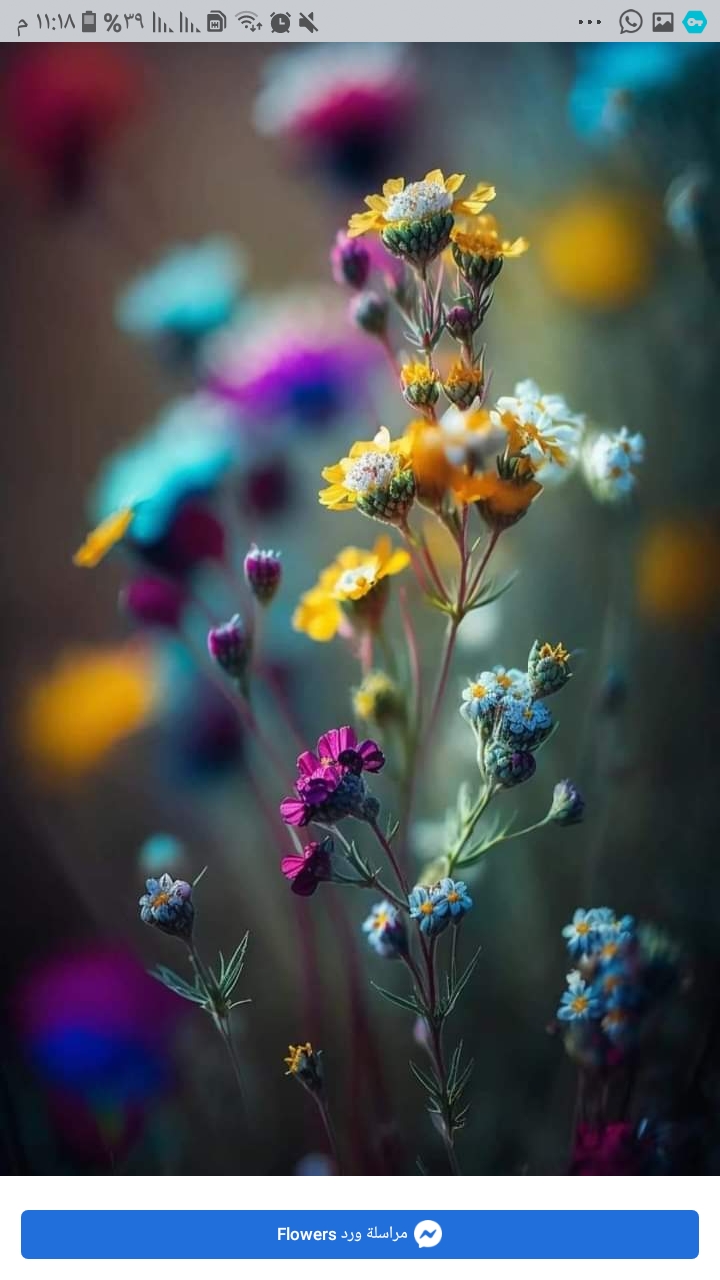 Основы Рисунка