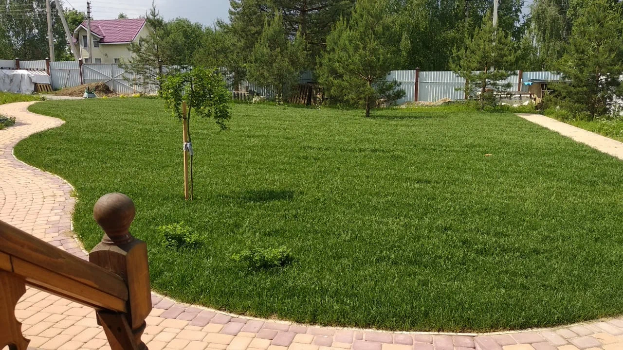 благоустройство ландшафта