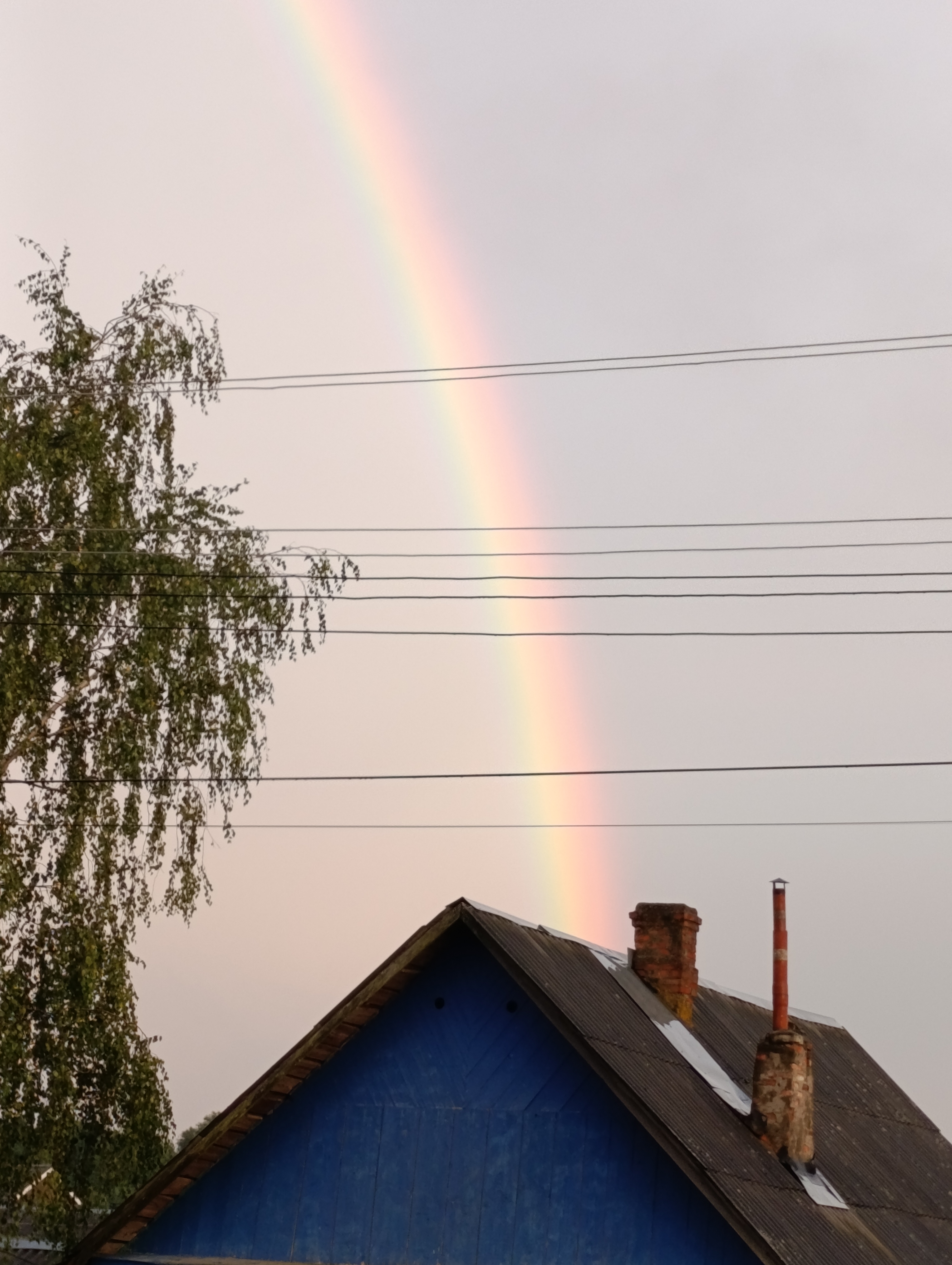 Фото и видео.