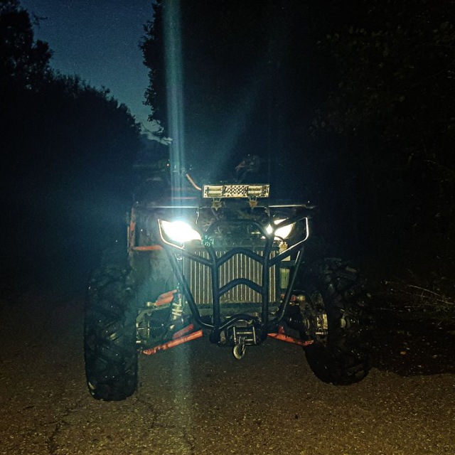 Картина мола-де