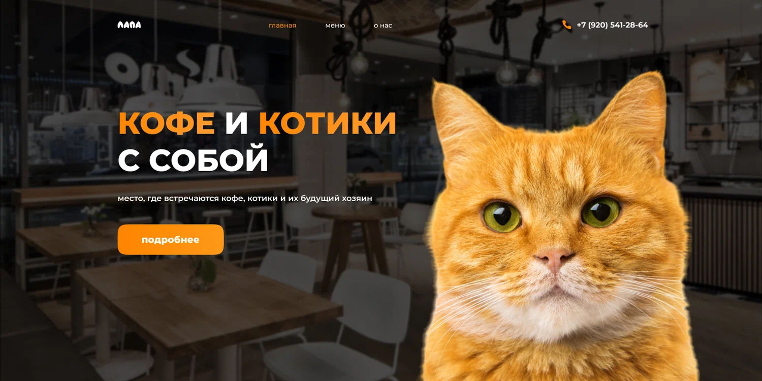 Дизайн интернет-магазина